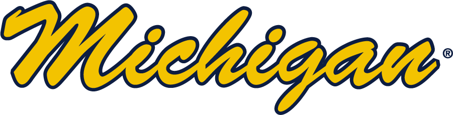 Michigan Wolverines 2016-Pres Wordmark Logo v3 iron on transfers for T-shirts